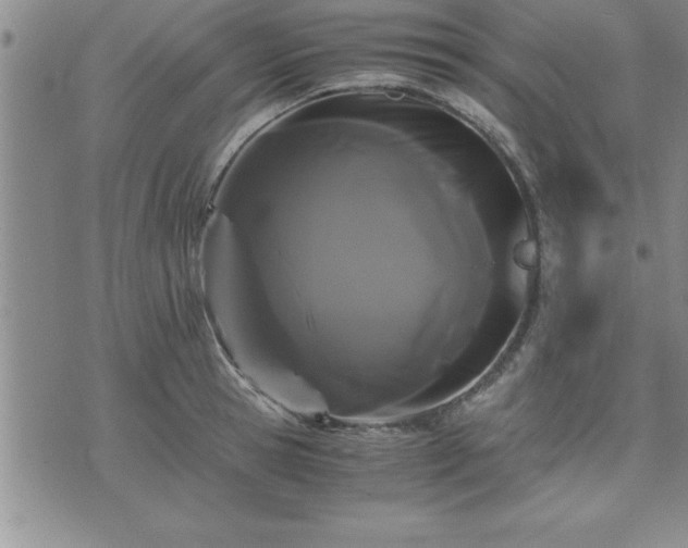 X0000075840945200609221701