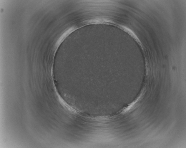 X0000075840946200609221701