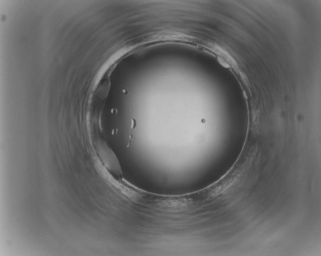 X0000075840947200609221701