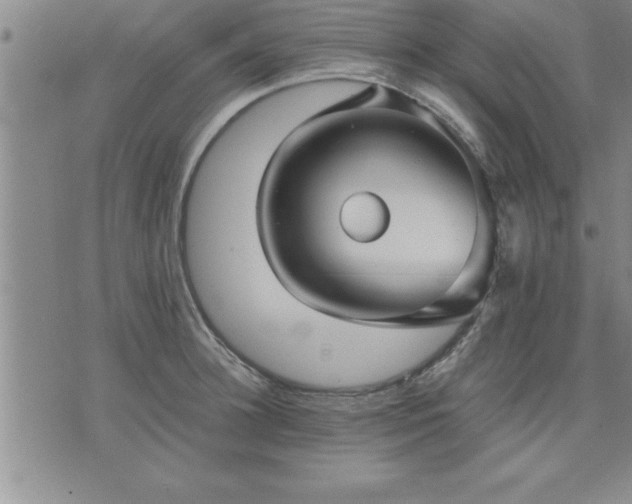 X0000075840948200609221701