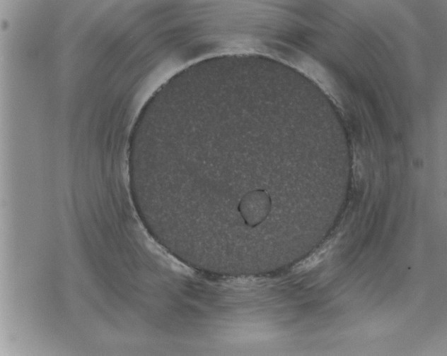 X0000075840950200609221702