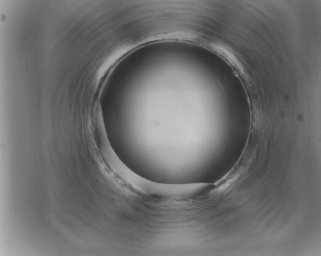 X0000075840952200609221702