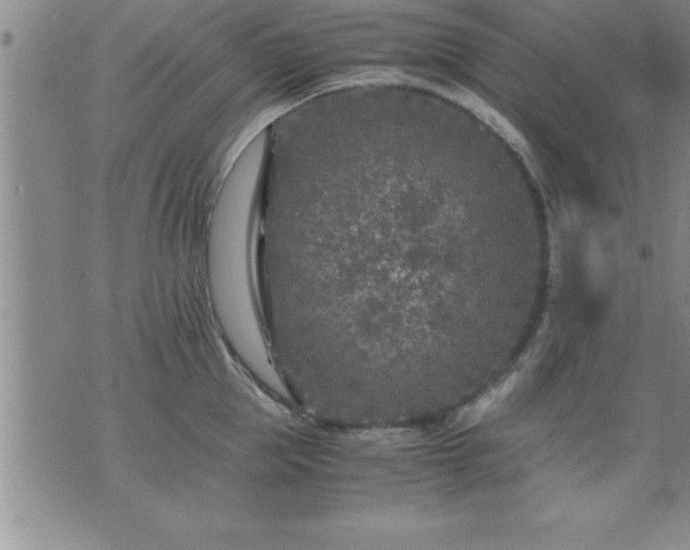 X0000075840953200609221702