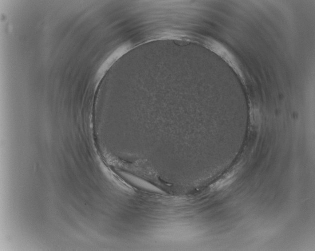 X0000075840954200609221702