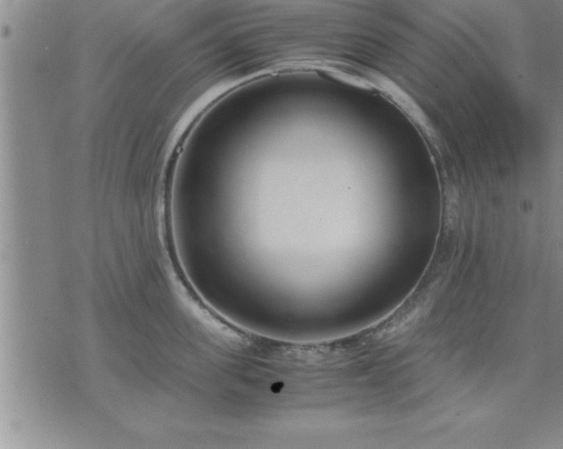 X0000075840955200609221702