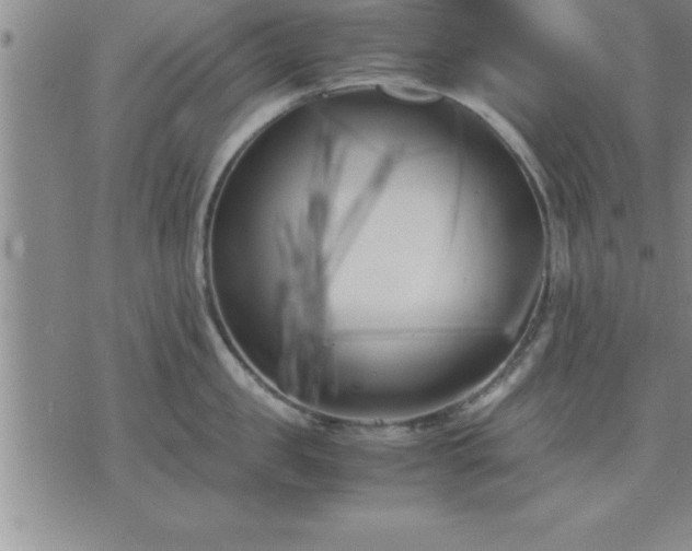 X0000075840957200609221702