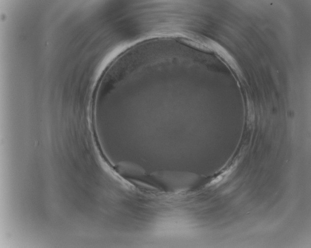 X0000075840958200609221702