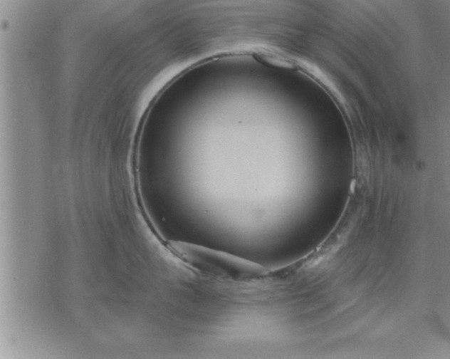 X0000075840959200609221702