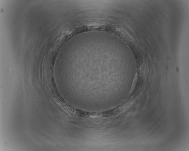 X0000075840961200609221701