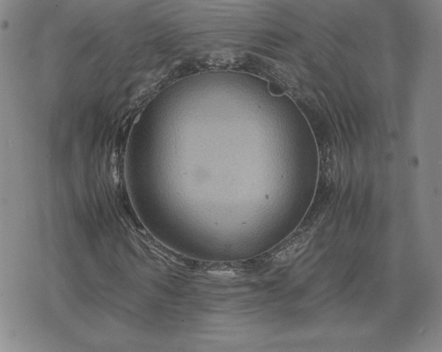 X0000075840962200609221701