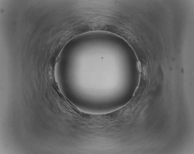 X0000075840963200609221701