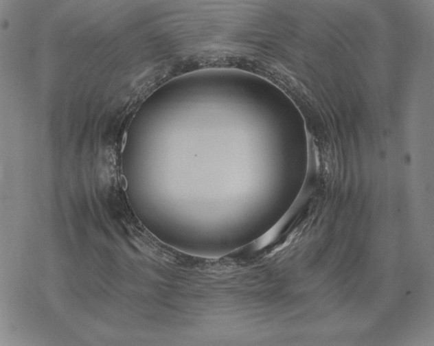 X0000075840964200609221701