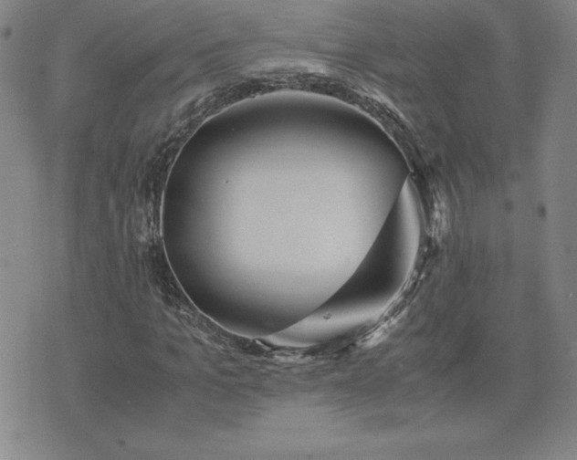 X0000075840965200609221701