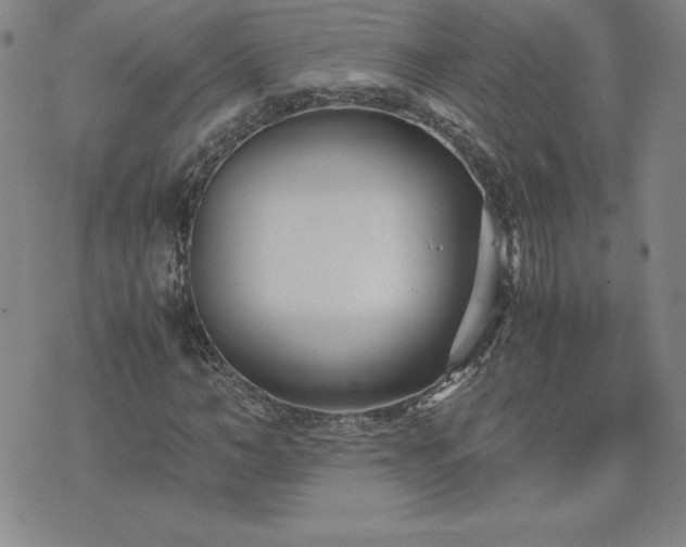 X0000075840966200609221701