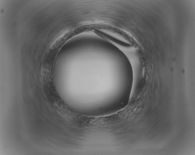 X0000075840967200609221701