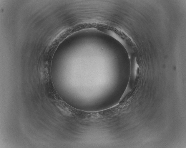 X0000075840968200609221701