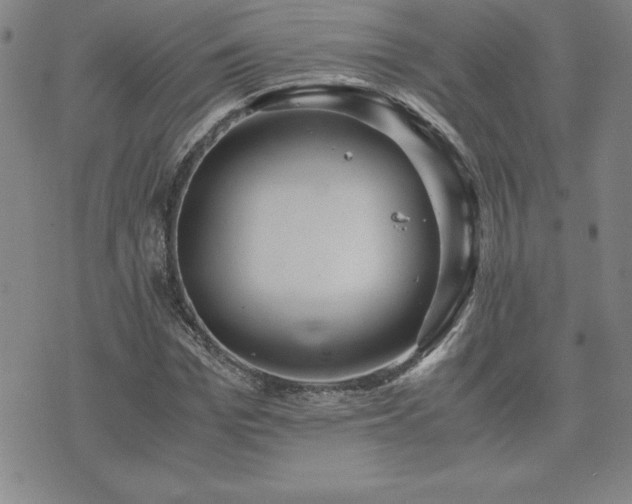 X0000075840969200609221701