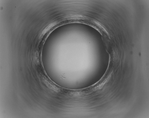 X0000075840970200609221701