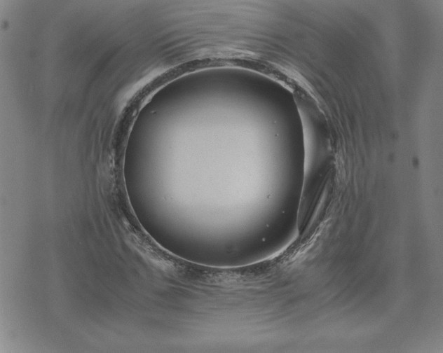 X0000075840971200609221701