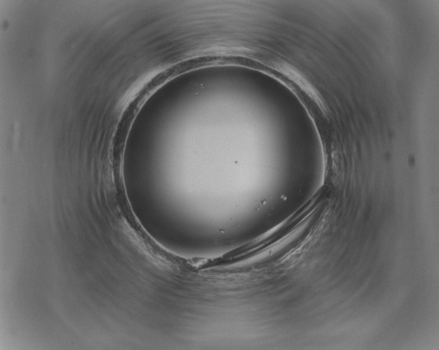 X0000075840972200609221701