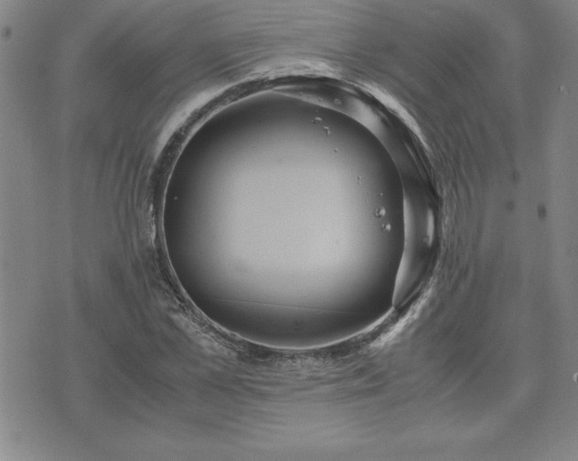 X0000075840973200609221701