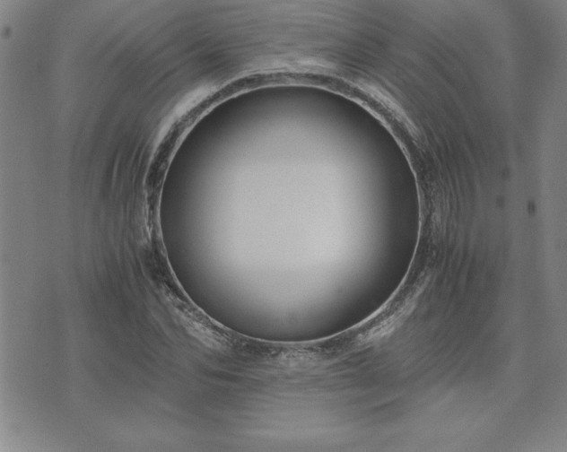 X0000075840974200609221701