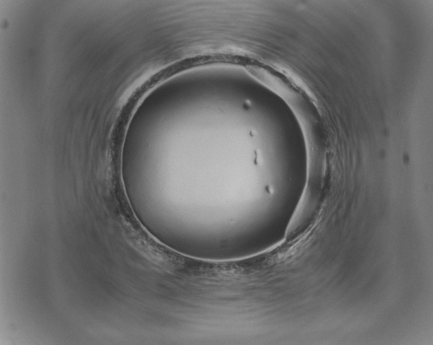 X0000075840975200609221701