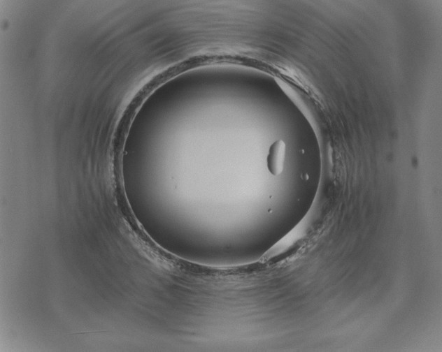 X0000075840976200609221701