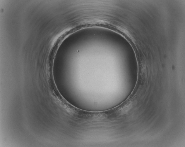 X0000075840979200609221701