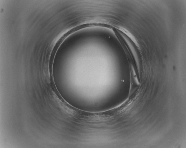 X0000075840980200609221701