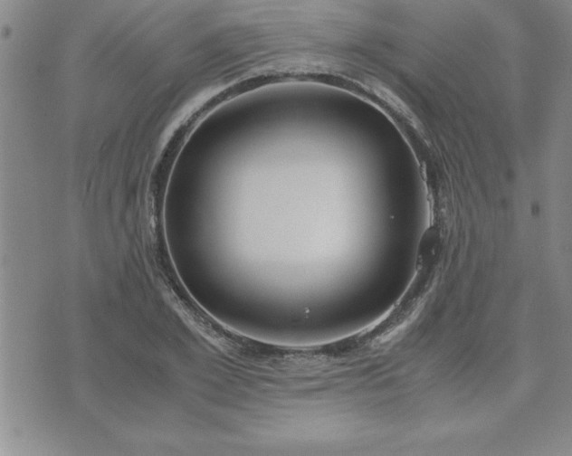 X0000075840981200609221701