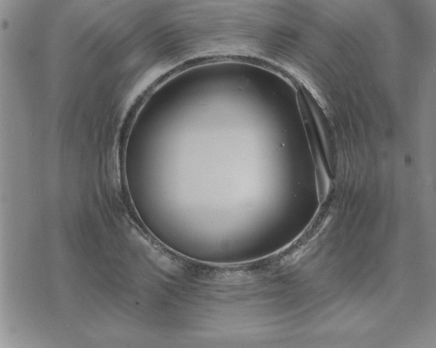 X0000075840982200609221701