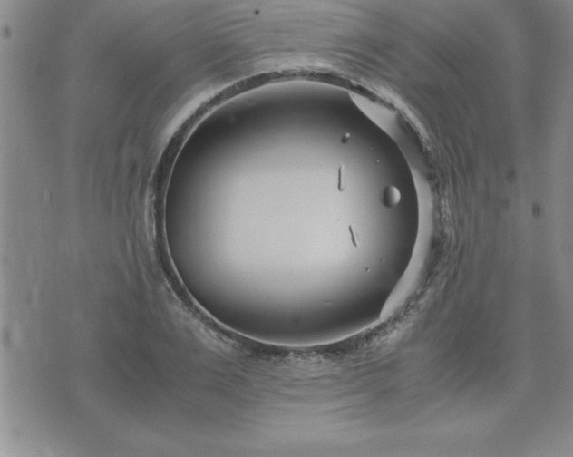 X0000075840983200609221701