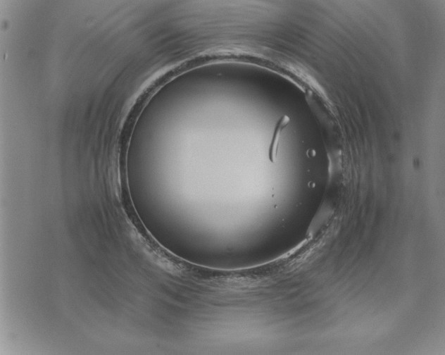 X0000075840984200609221701