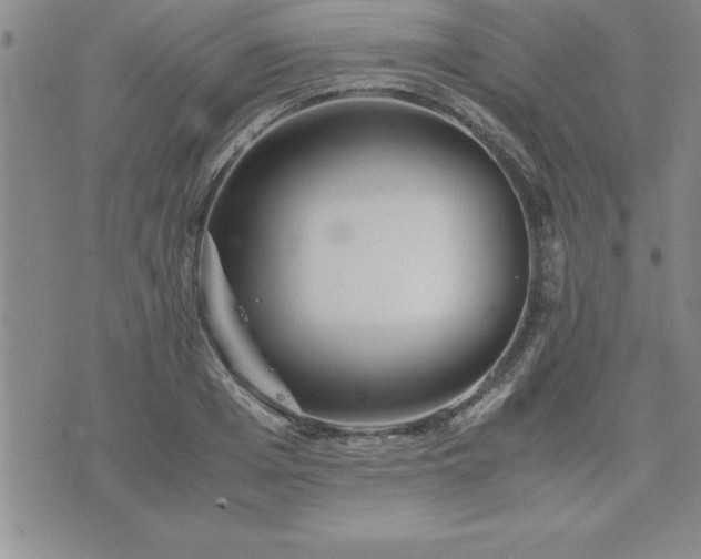 X0000075840985200609221701