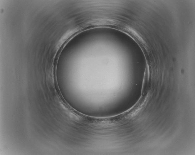 X0000075840986200609221700