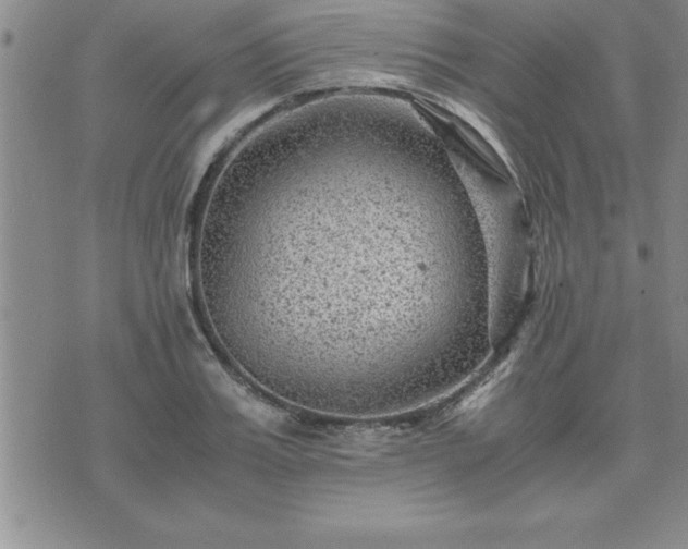 X0000075840987200609221700