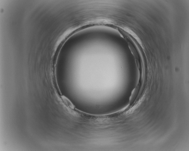 X0000075840989200609221700