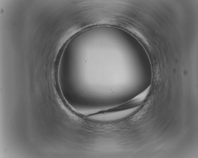 X0000075840991200609221700