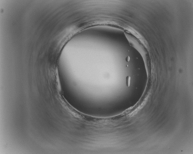 X0000075840993200609221700