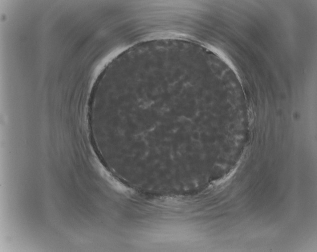 X0000075840995200609221700