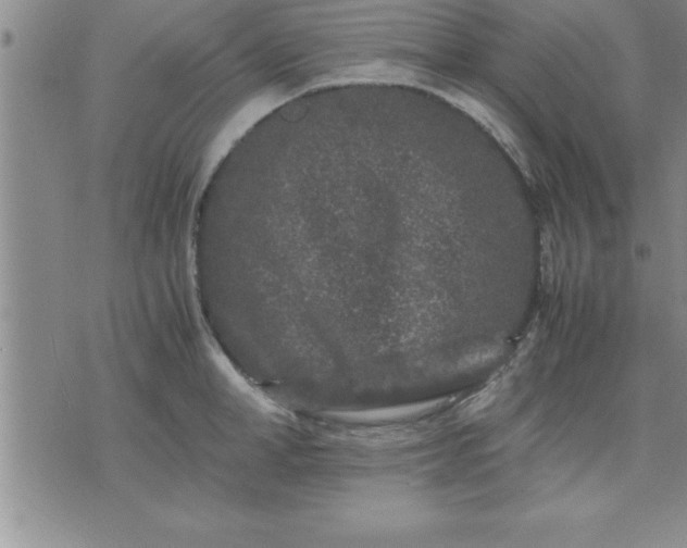 X0000075840998200609221700