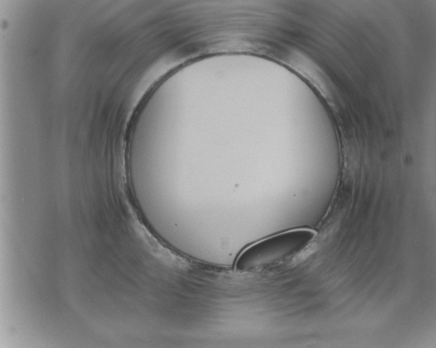 X0000075841000200609221700