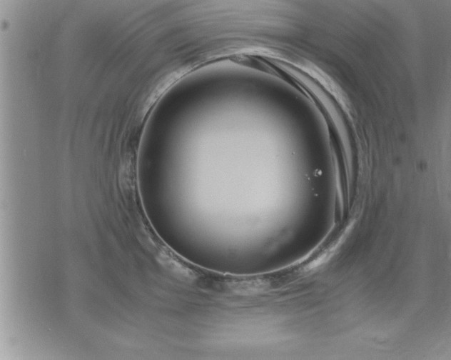 X0000075841001200609221700