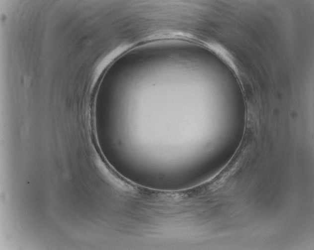 X0000075841003200609221700