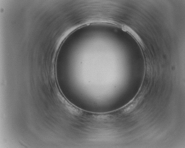 X0000075841004200609221700