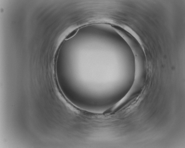 X0000075841005200609221700