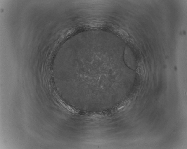 X0000075841009200609221659