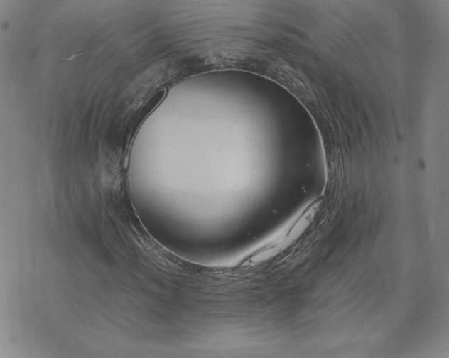 X0000075841012200609221659