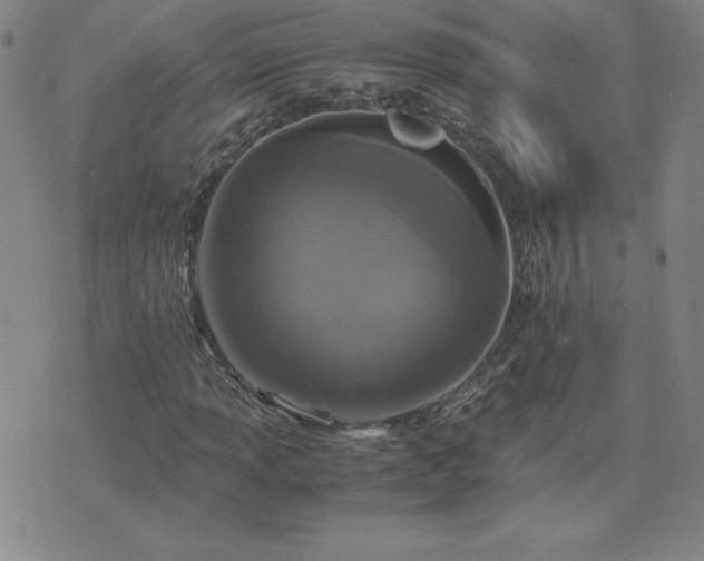 X0000075841013200609221659